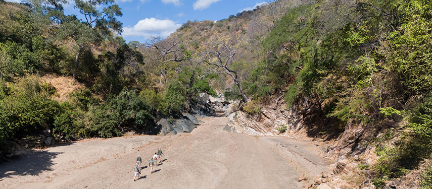 Mhara River Camp Bush walks In The Chitake Riverbed