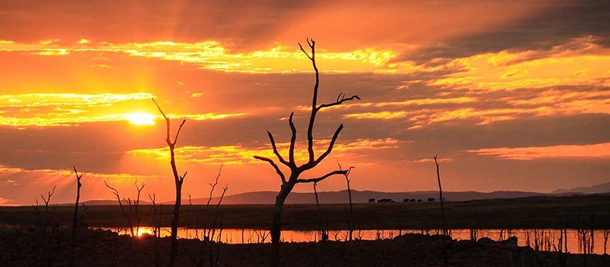 Fiery sunset over Lake Kariba with skeletal trees silhouetted against glowing clouds and reflected light on the water.