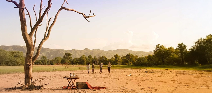 Guided bush walk near Changa Safari Camp, with guests crossing open sand framed by woodland and distant hills.