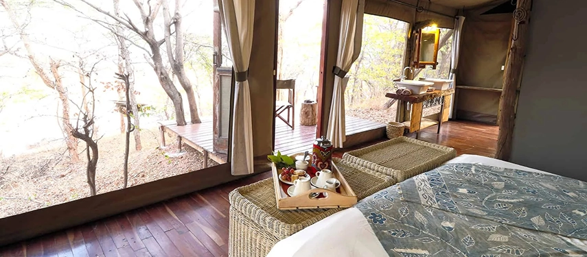 Open-plan tented suite at Changa Safari Camp with wicker furnishings, flowing curtains, and views across the natural bush setting.