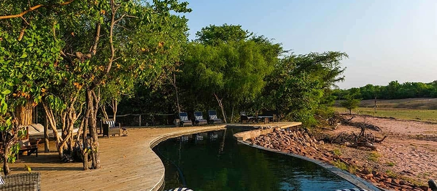 Curved swimming pool at Changa Safari Camp set among trees and rock, blending seamlessly into the lakeside wilderness.