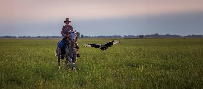 Rider on horseback cantering through emerald-green plains beside a pair of soaring storks.