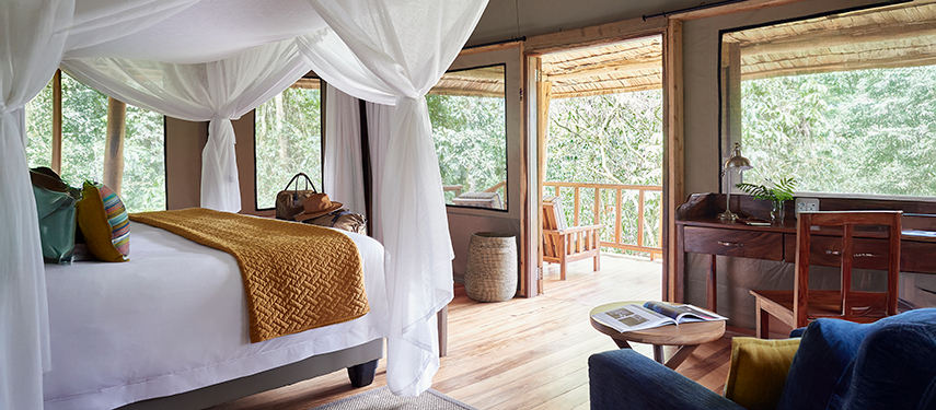 Stunning bedroom suite at Gorilla Forest Lodge, Uganda