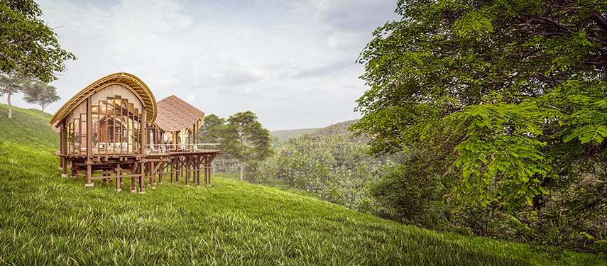 A curved, timber-clad suite at Erebero Hills with panoramic forest views.