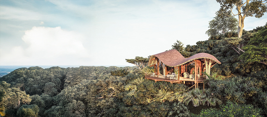 A suite at Erebero Hills perched above the forest with open-air views and wooden detailing.