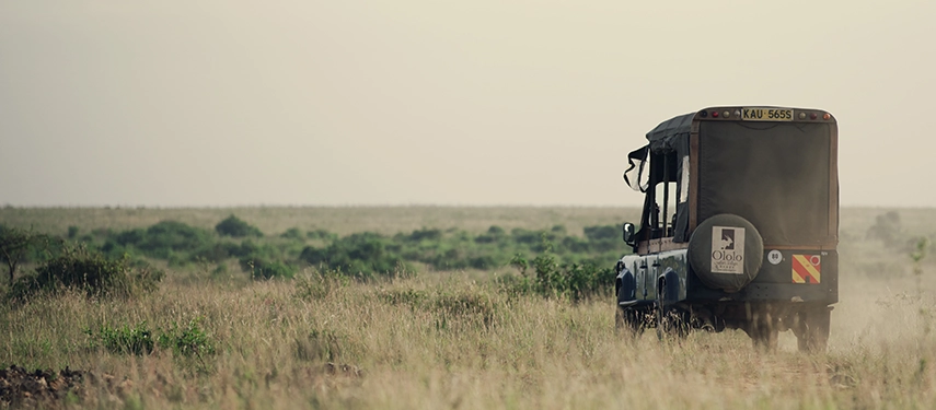 An Ololo Safari Lodge four-wheel drive vehicle driving through golden grasslands on an early morning game drive in Nairobi National Park.