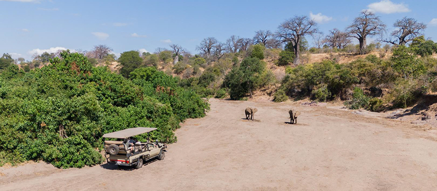 Mhara River Camp game drive In The Chitake Riverbed