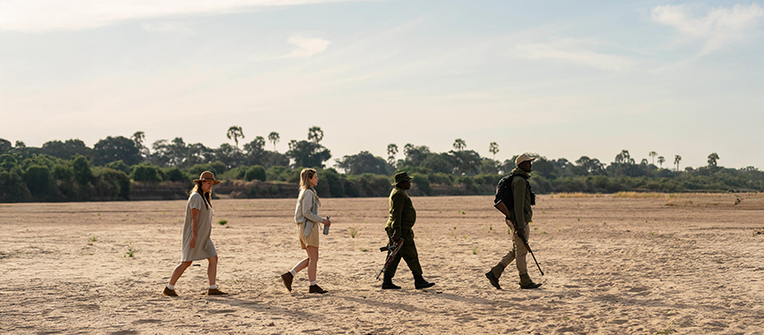 Guests On A Walking Safari At Kokoko Camp, Ruaha National Park, Tanzania