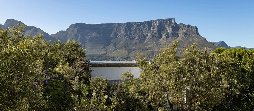 Lush garden view from Dorp Hotel framing Table Mountain beneath a clear blue sky, surrounded by greenery and native flora.