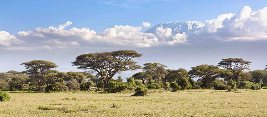 Expansive savannah and iconic flat-topped acacia trees in Tanzania with Mount Kilimanjaro’s snow-capped peak emerging above the clouds.