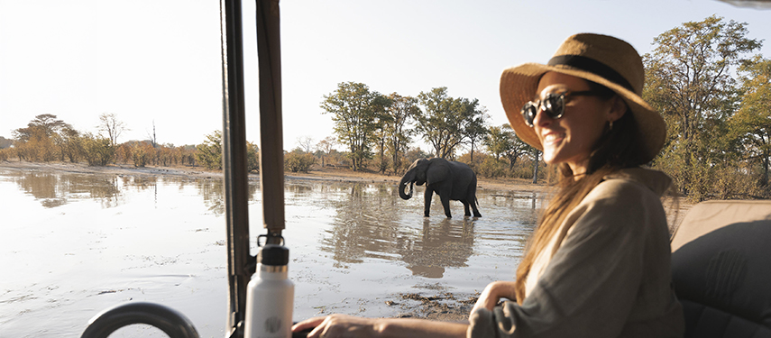 Tourist watching an elephant drink from a pool in Linyanti Wildlife Reserve