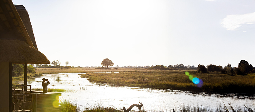 Guest surveys the African landscape at King's Pool luxury safari Camp, Linyanti, Botswana