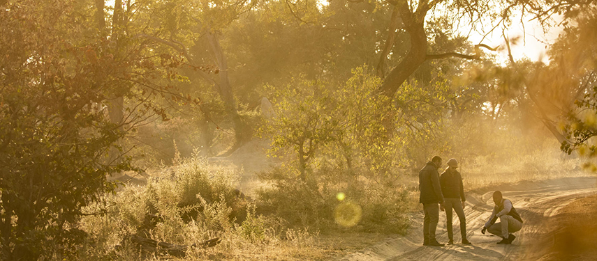 Walking safari across grasslands in Botswana