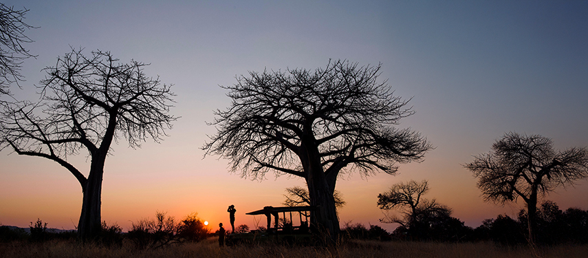 Kokoko Camp Sunset On Safari Camp In Ruaha, Tanzania