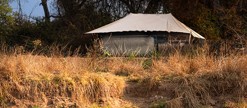 A classic safari tent sits tucked into tall grass beside a dry riverbank, blending seamlessly into the natural surroundings.