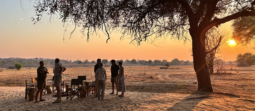 Guests gather beneath a large tree at sunset for drinks and conversation, overlooking open plains glowing in evening light.