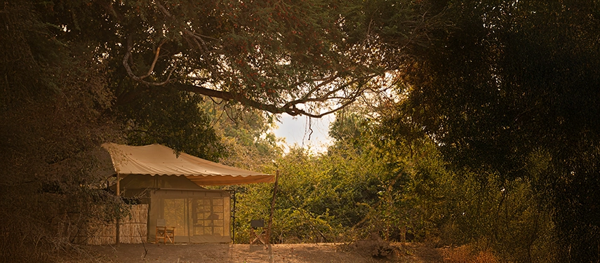 A secluded safari tent sits beneath mature trees at Kutandala Camp, softly lit at dusk and immersed in natural woodland.
