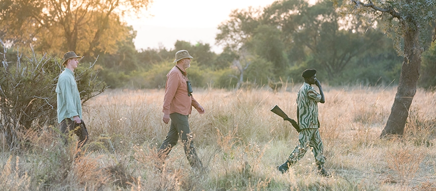Guests follow an armed scout and guide on foot through tall grass, experiencing the immersive walking safaris of North Luangwa.