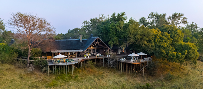 Wide-angle aerial view of Narina Lodge and surrounding treetop suites in golden evening light.