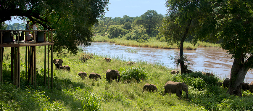 Elevated viewing deck above the Sabie River with guests watching a herd of elephants pass below.