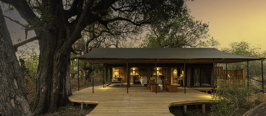 Sunset view of a spacious tented suite at Kiri Camp with warm interior glow and forest surrounds.