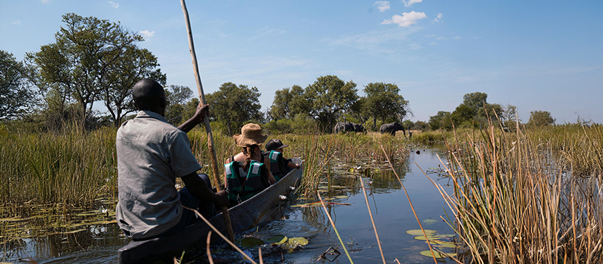 Mokoro journey through the Okavango Delta with elephants in the background