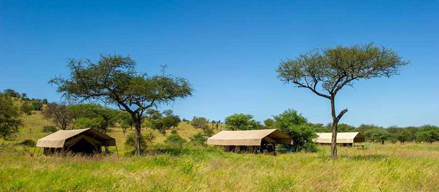 Masai MAra Serengeti safari camp