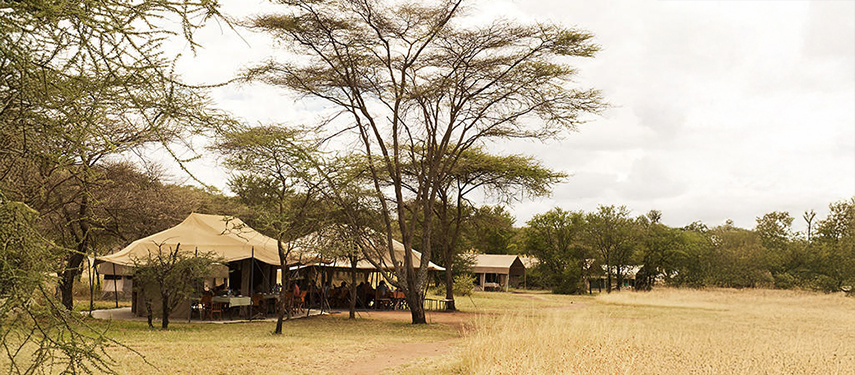 Masai Mara Serengeti safari camp