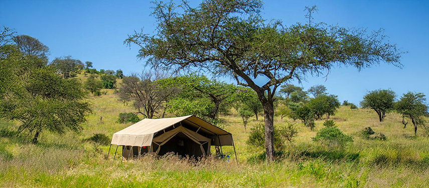 Masai Mara Serengeti safari camp