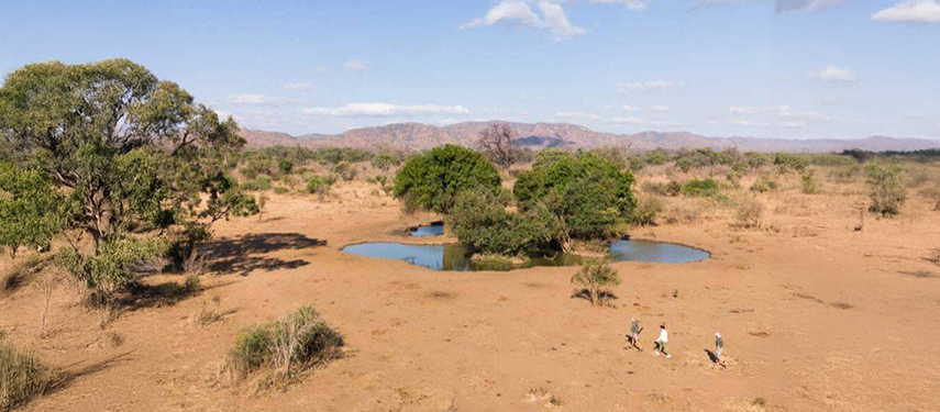 Aerial view of a walking safari, Mana Pools, Zimbabwe