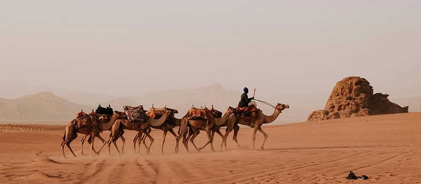 A caravan of camels crosses the vast sands of Wadi Rum, led by a guide through an expansive desert landscape.