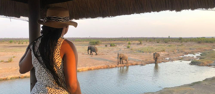 Woman watches elephants at a waterhole in Zimbabwe