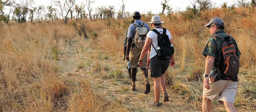 Walking safari in Hwange National Park, Zimbabwe