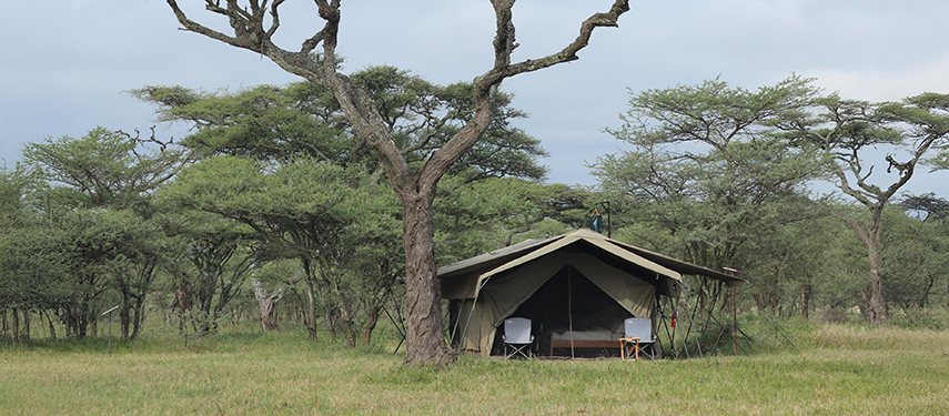Ndutu Wilderness safari camp, Ngorogoro, Tanzania