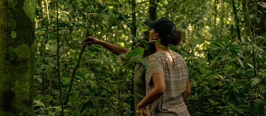 A guided forest walk unfolds beneath a dense canopy, with a local guide pointing out wildlife and plant life along a shaded trail.