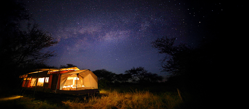 Stargazing tent at Olakira lit warmly under a blanket of stars in the Serengeti.