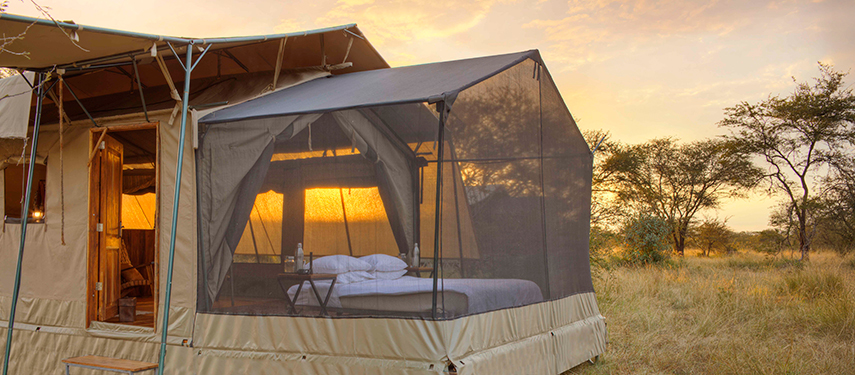 Side view of a stargazing tent at Olakira Migration Camp during golden hour.