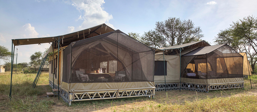 Exterior of the family suite tents at Olakira, showcasing their open mesh extensions.