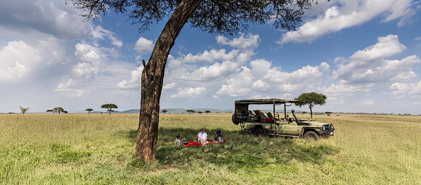 Private bush picnic under an acacia tree with a safari vehicle parked nearby.