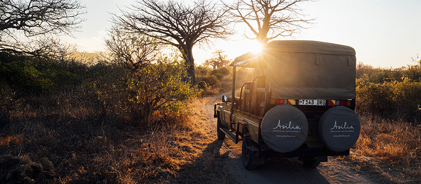 Private Game Drive Through Ruaha National Park, Tanzania