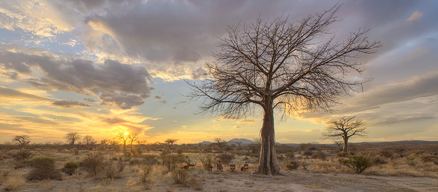 Ruaha National Park Scenic Views