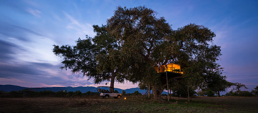 Elevated star-bed at Ruckomechi Camp illuminated against a twilight sky