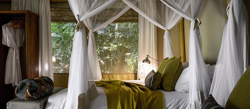 Luxury bedroom suite at Gorilla Forest Lodge, Uganda