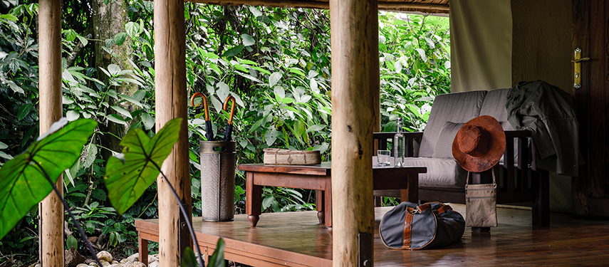 Private balcony at Gorilla Forest Lodge, Uganda