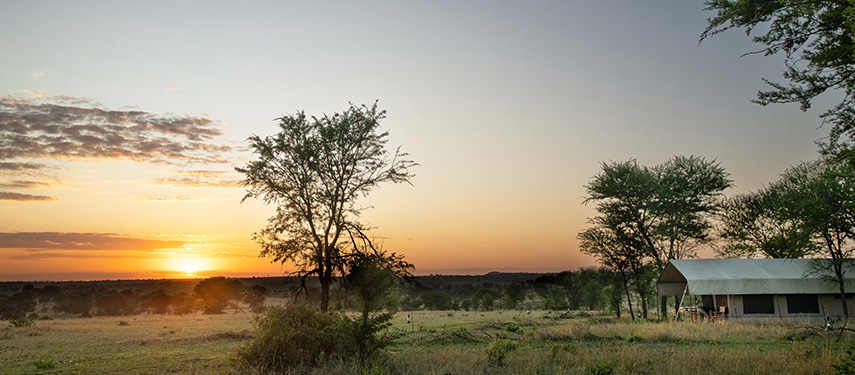 Serengeti sunset, Serengeti Ndutu Kati Kati Tented Camp