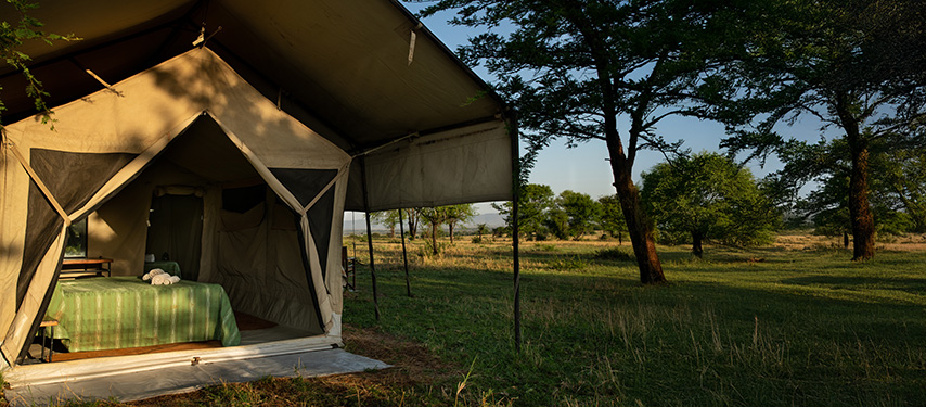 Ndutu Kati Kati Tented Camp early morning on the Serengeti