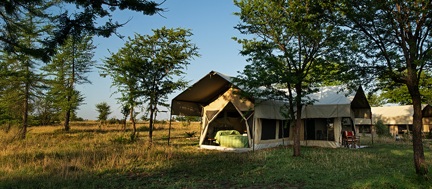 Serengeti Ndutu Kati Kati Tented Camp