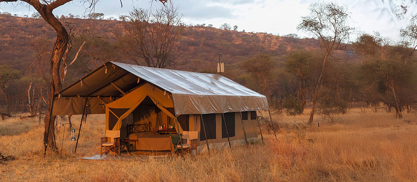 Kati Kati Tented Camp at dawn on the Serengeti