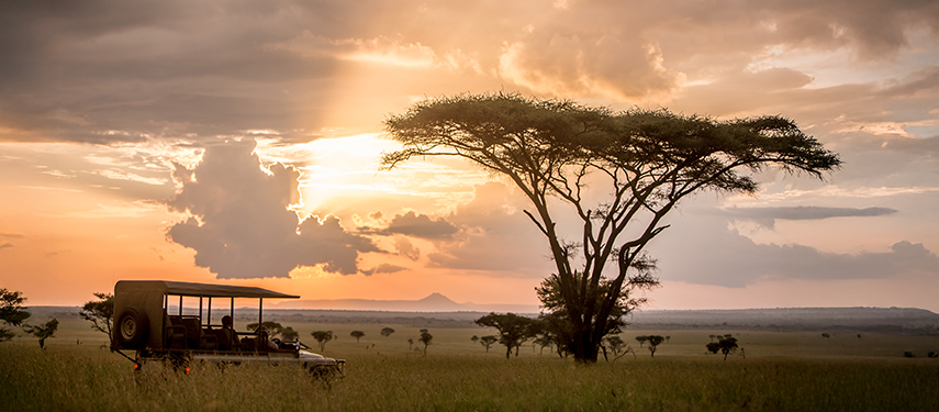 Sunset game drive in Grumeti Game Reserve on the borders of Serengeti National Park