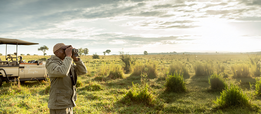 Safari guide on the Serengeti scouts the grassy plains with binoculars